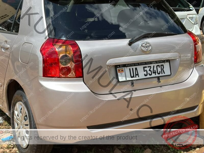 Toyota Allex 2007 Silver