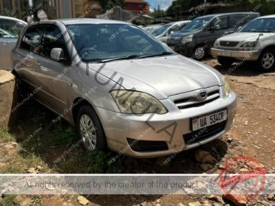 Toyota Allex 2007 Silver