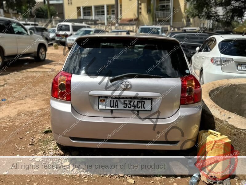Toyota Allex 2007 Silver