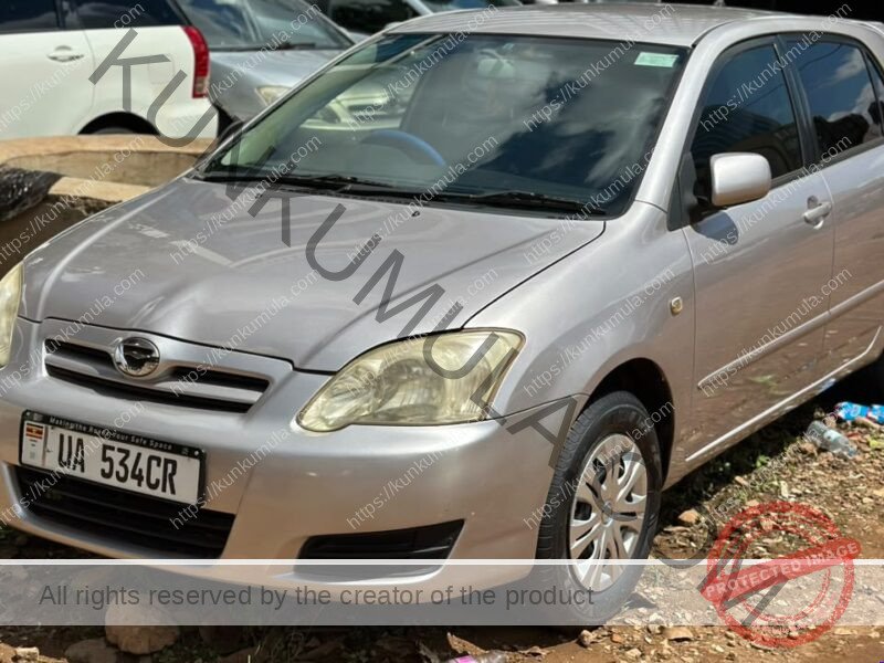 Toyota Allex 2007 Silver