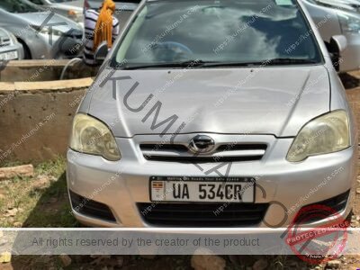 Toyota Allex 2007 Silver