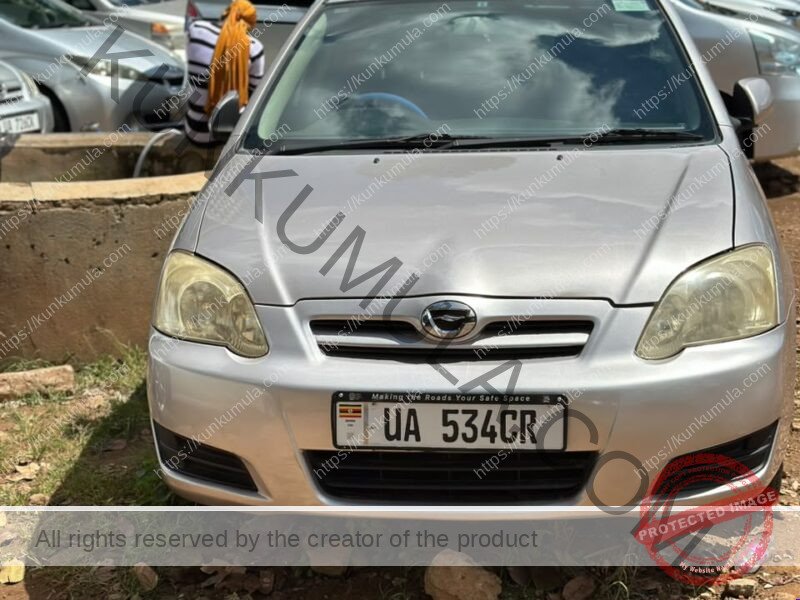 Toyota Allex 2007 Silver