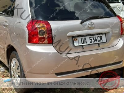 Toyota Allex 2007 Silver