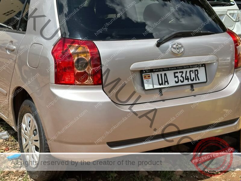 Toyota Allex 2007 Silver