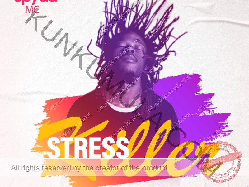 Stress Killer Syda Mc (feat. Thate Beats)