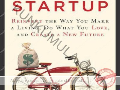 The $100 Startup Reinvent the Way You Make a Living, Do What You Love, and Create a New Future