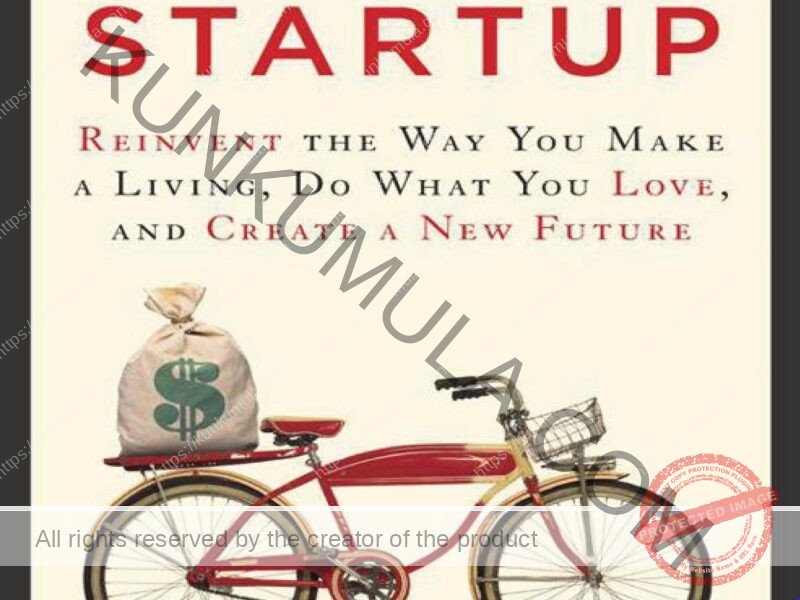 The $100 Startup Reinvent the Way You Make a Living, Do What You Love, and Create a New Future
