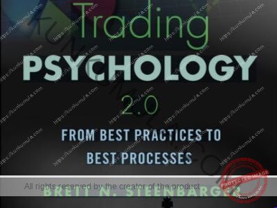 Trading Psychology 2.0: From Best Practices to Best Processes Book In Pdf