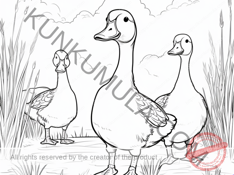 Geese in the Farm | Kids Colouring Page | Family Fun Print & Color Activity