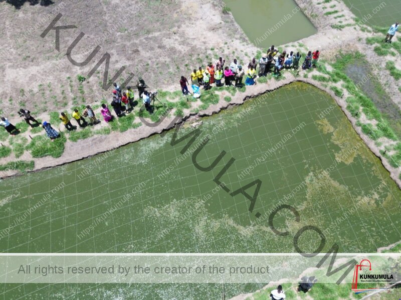 Drone Services Uganda | Wedding, Kwanjula & Graduation in Uganda